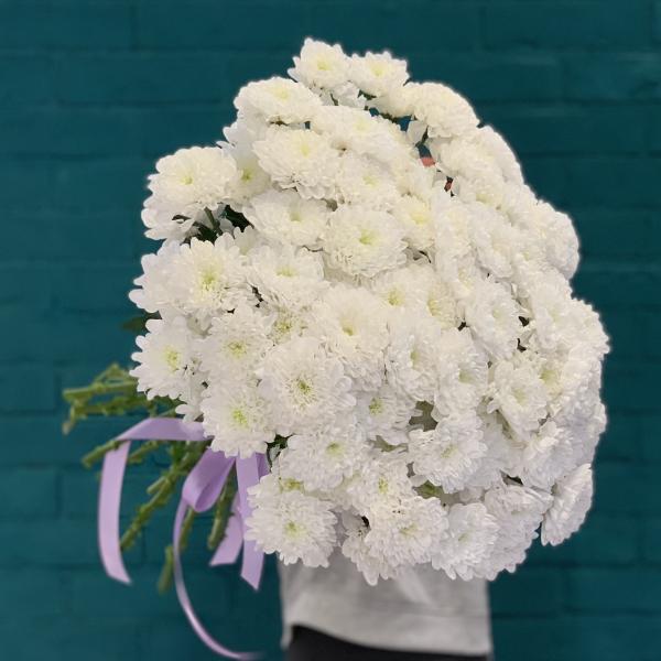 17 Хризантем "Белая ночь"