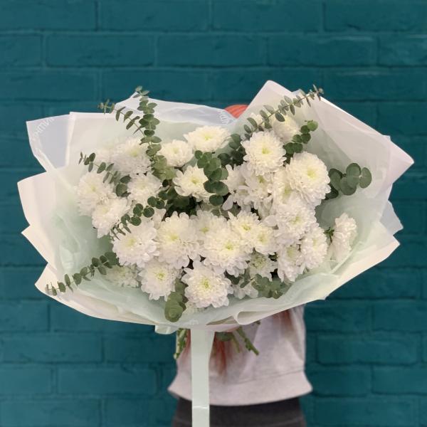 7 Хризантем "Белая тропинка"