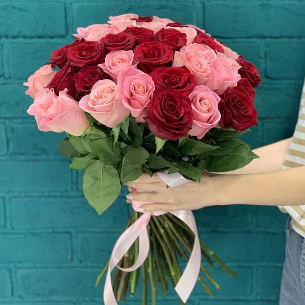 41 роза "Алое сияние"