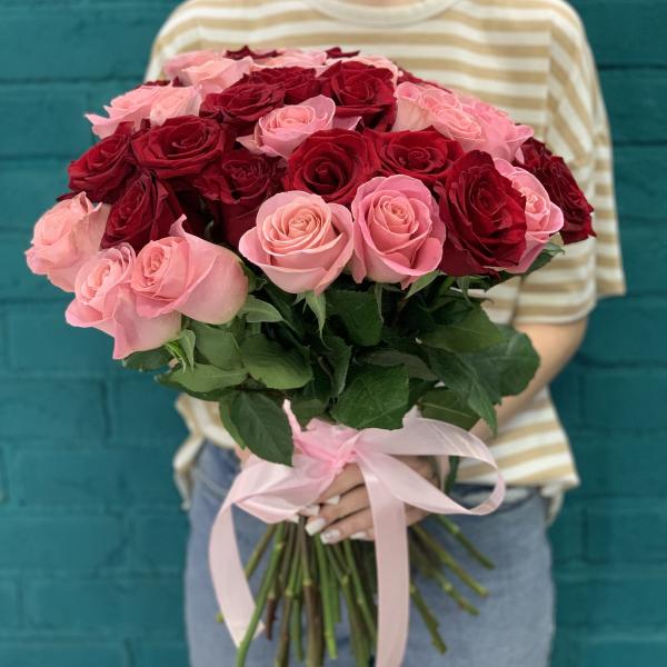 41 роза "Алое сияние"