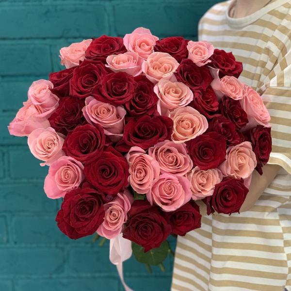 41 роза "Алое сияние"