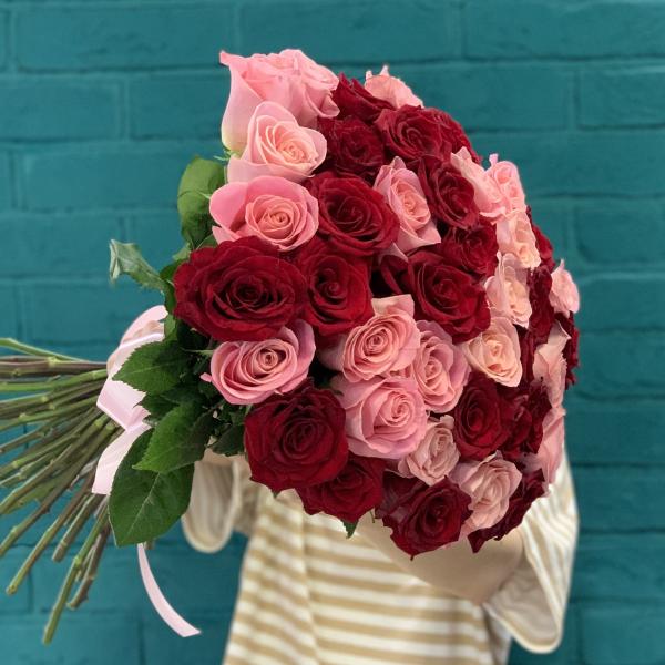 41 роза "Алое сияние"