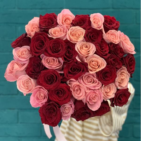 41 роза "Алое сияние"