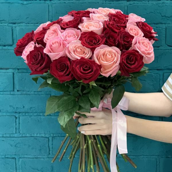 43 розы "Вишенка"