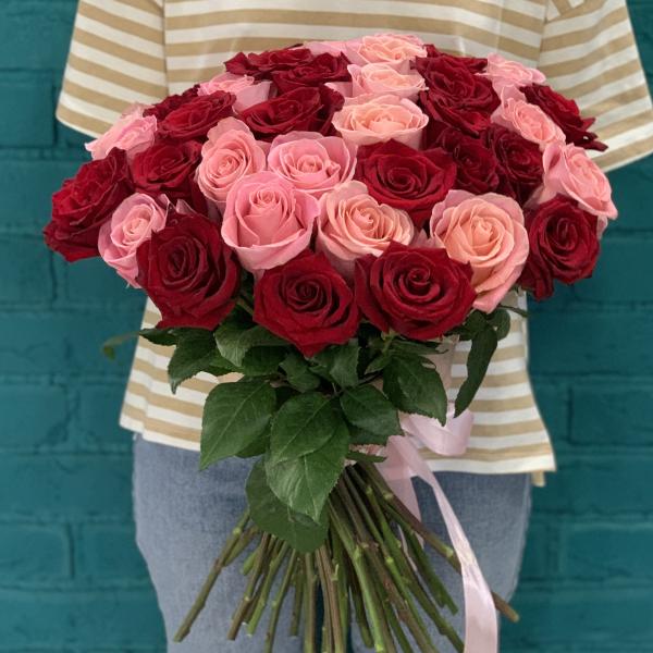 43 розы "Вишенка"