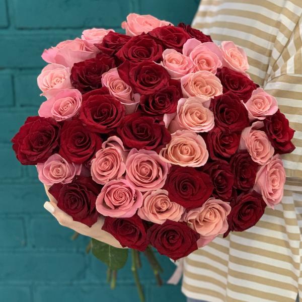 43 розы "Вишенка"