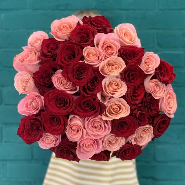 43 розы "Вишенка"