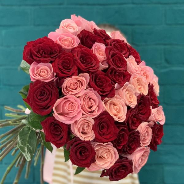 43 розы "Вишенка"