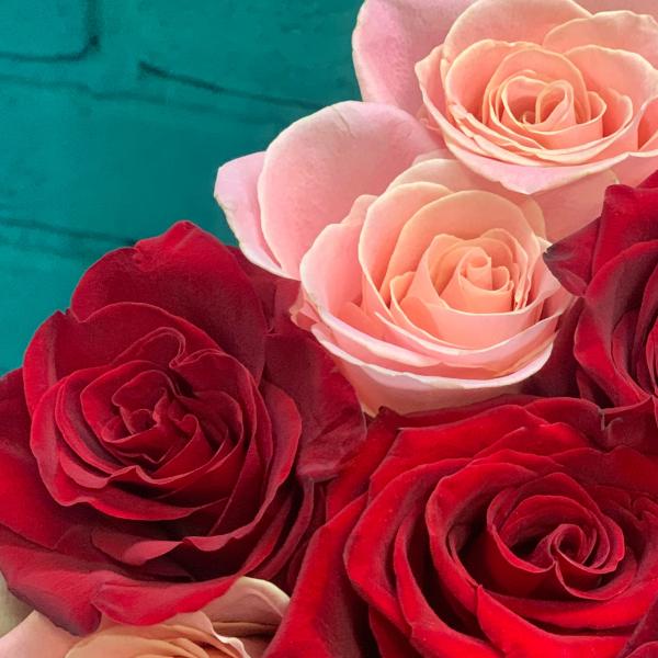 13 роз "Конфетка"