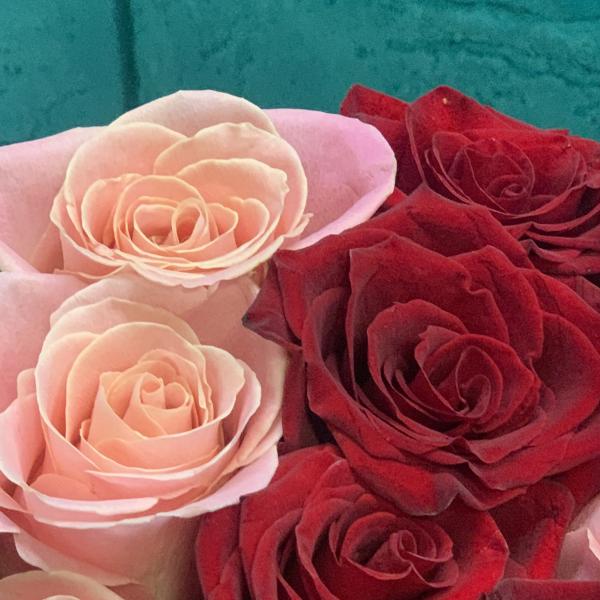 15 роз "Любимка"