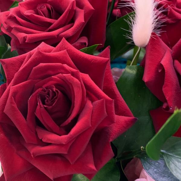 11 Французских роз "Ночь в Париже"