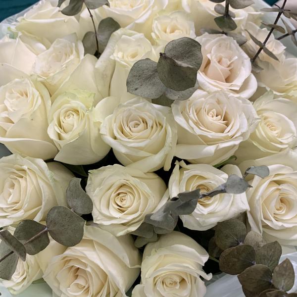 Роза и эвкалипт "Подснежник"