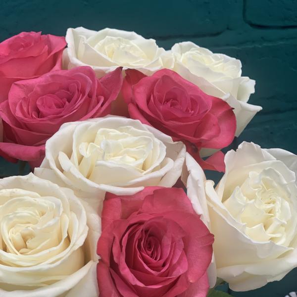 11 роз "Раскраска"