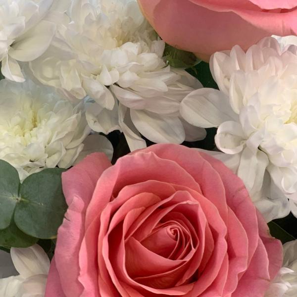 Роза и скабиоза "Мамино счастье"