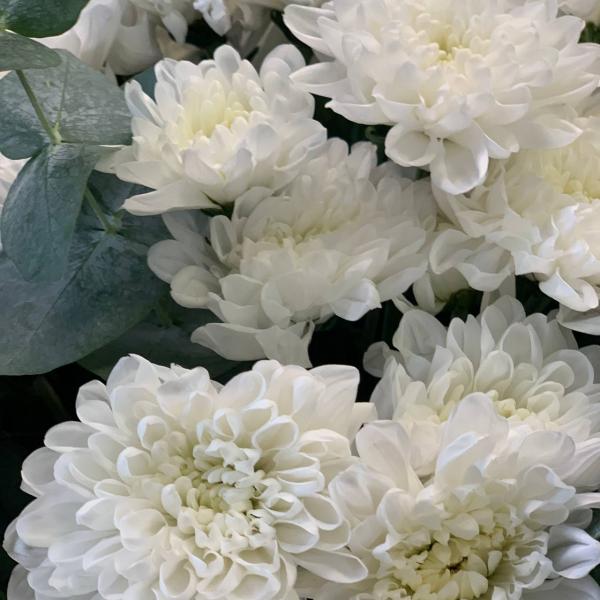 Хризантема и эвкалипт "Любимое время"