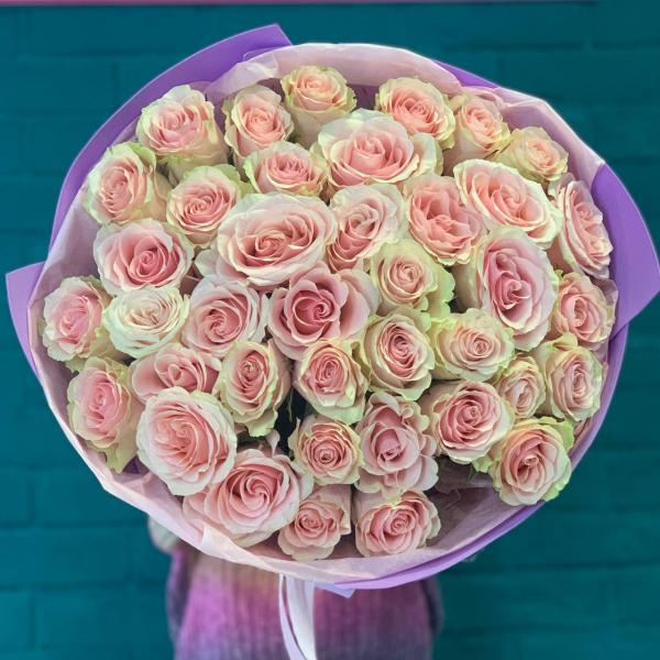 41 розовая роза "Нежная"