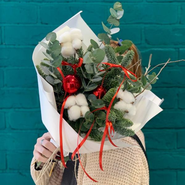 фото Нобилиса и хлопока "Новогодний переполох"