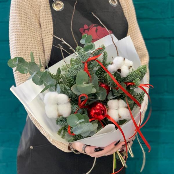 фото Нобилиса и хлопока "Новогодний переполох"