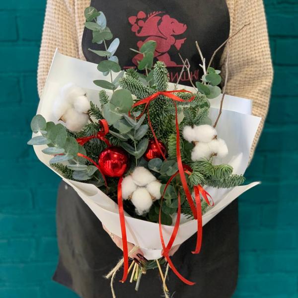 фото Нобилиса и хлопока "Новогодний переполох"