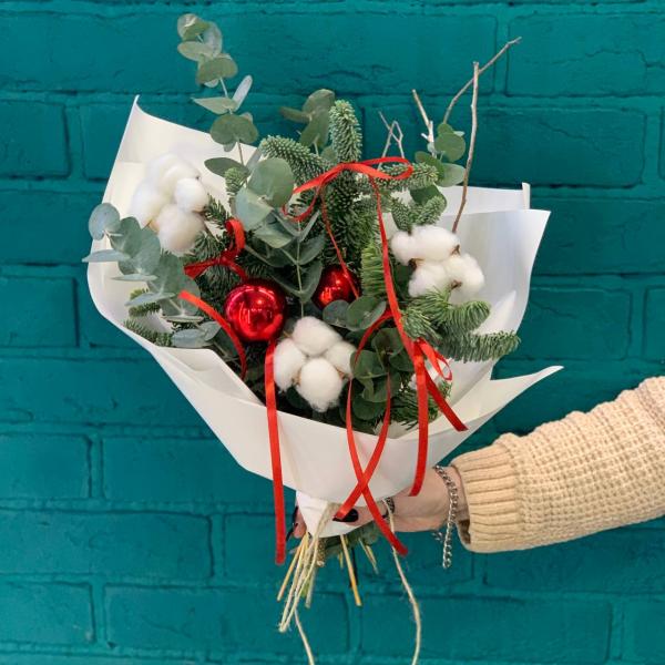 фото Нобилиса и хлопока "Новогодний переполох"