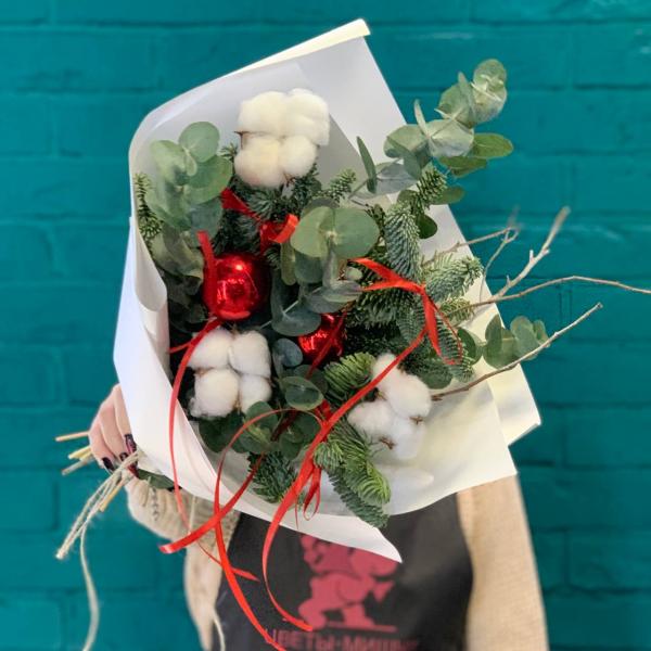 фото Нобилиса и хлопока "Новогодний переполох"