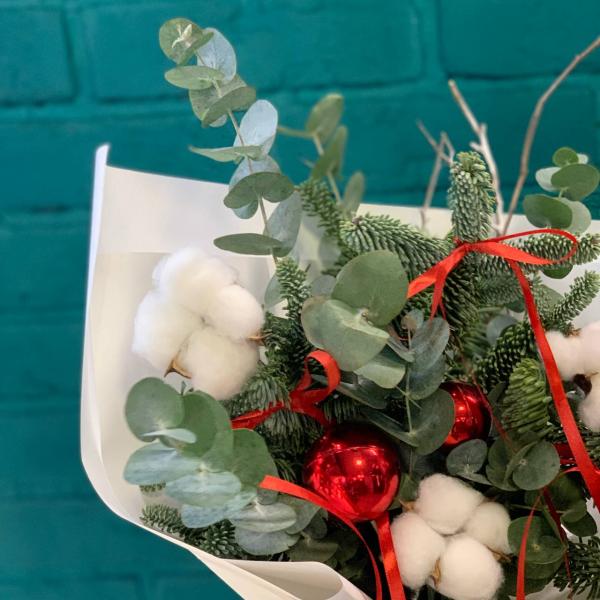 фото Нобилиса и хлопока "Новогодний переполох"