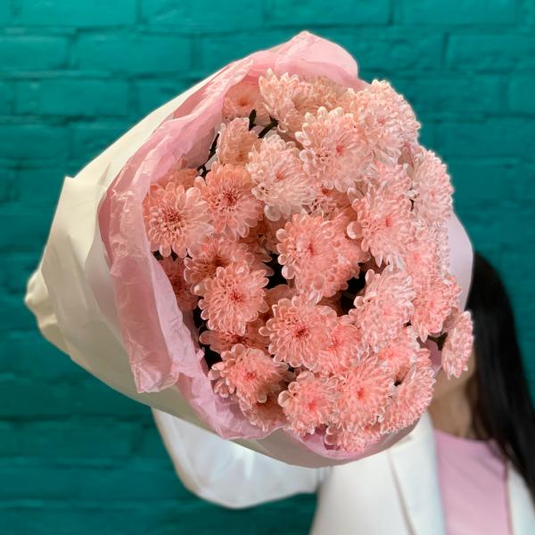 фото 9 розовых хризантем "Мотти"