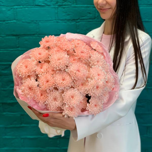 фото 9 розовых хризантем "Мотти"