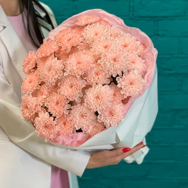 фото 9 розовых хризантем "Мотти"