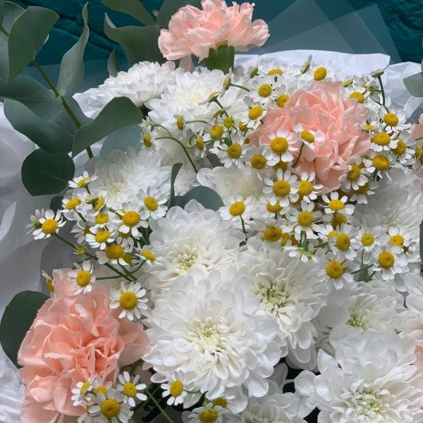 фото Хризантема и гвоздика "Глория"