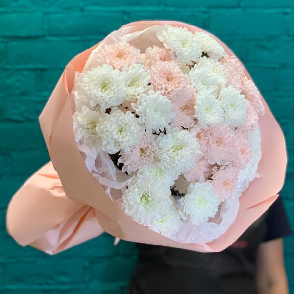 фото 7 розовых и белых хризантем "Пушинка"