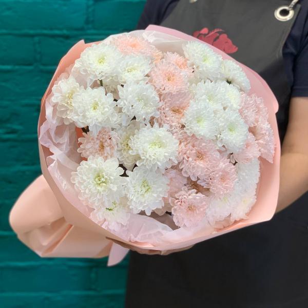 7 розовых и белых хризантем "Пушинка"