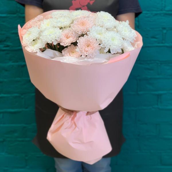 фото 7 розовых и белых хризантем "Пушинка"