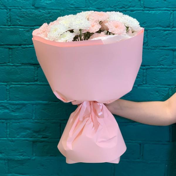 фото 7 розовых и белых хризантем "Пушинка"