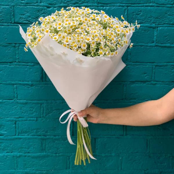 фото 15 танацетума "Чудо природы"