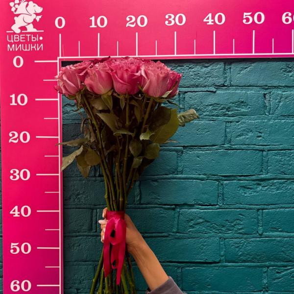 фото 15 пионовидных роз "Вишневый сад"