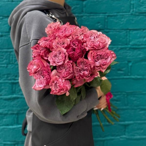 фото 15 пионовидных роз "Вишневый сад"