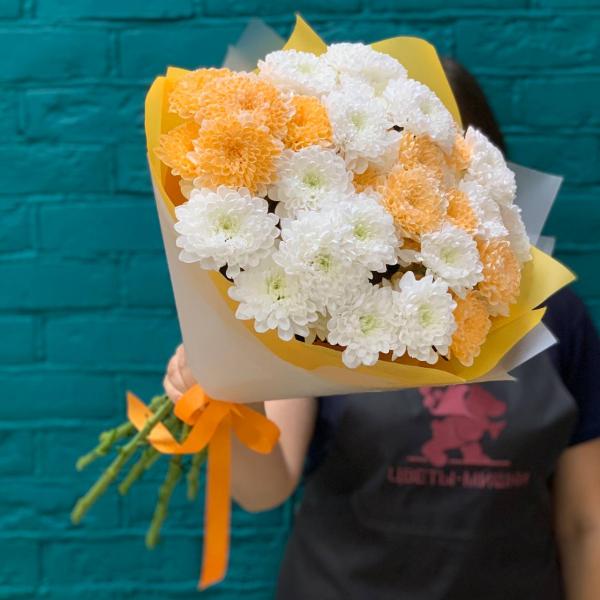 фото 9 разноцветных хризантем "Пылкие взгляды"