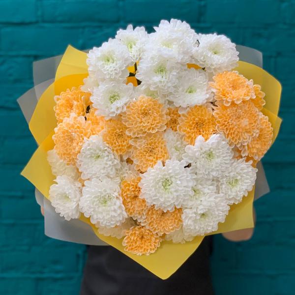 фото 9 разноцветных хризантем "Пылкие взгляды"