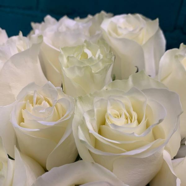 фото 15 белых роз "Летние воспоминания"