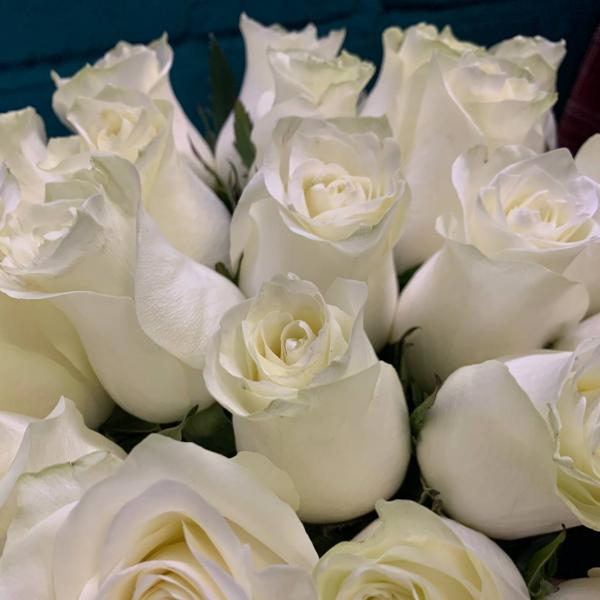 фото 21 белой розы "Белоснежное очарование"