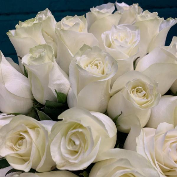 фото 25 белых роз 80см "Лунный мед"