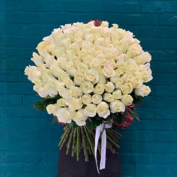 фото 101 белой розы 80см "Сибирский холод"