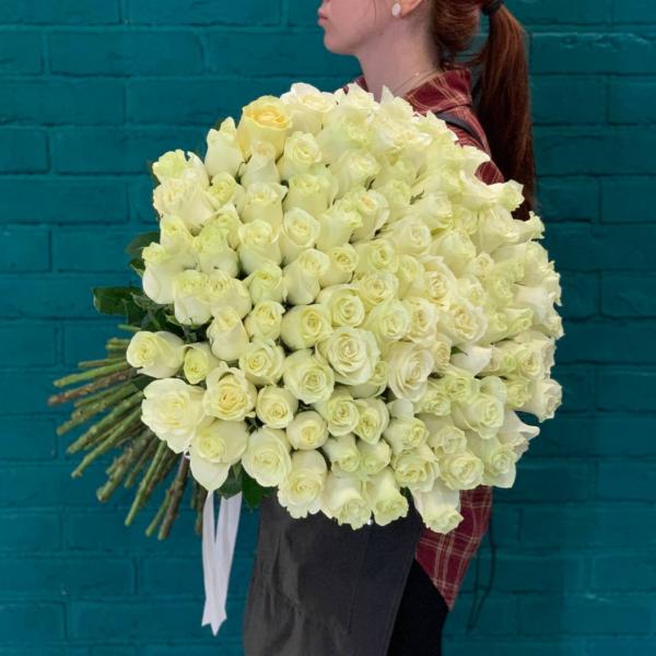 101 белая роза 80см "Сибирский холод"