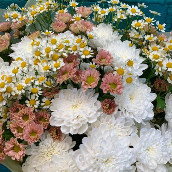 фото Хризантемы и танацетума "Осенний рассвет"