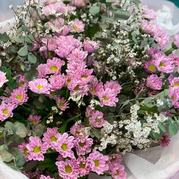 фото Хризантемы и лимониум "Полное цветение"