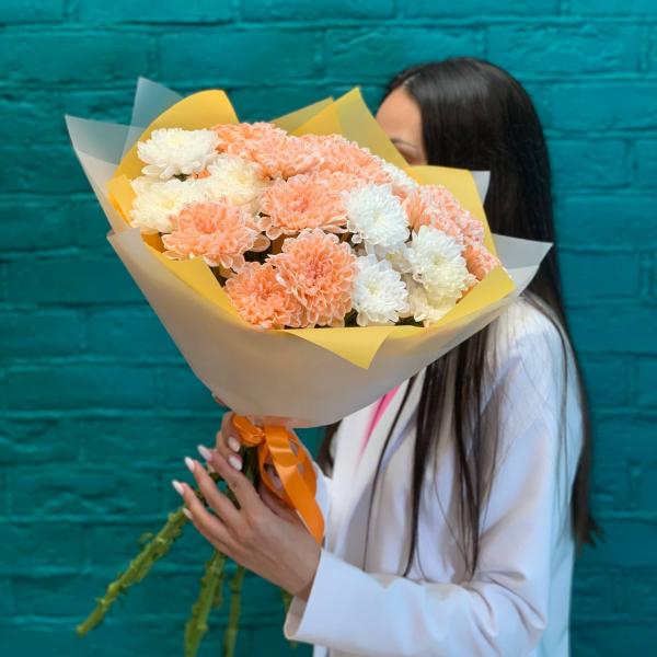 фото 7 разноцветных хризантем "Парящий"