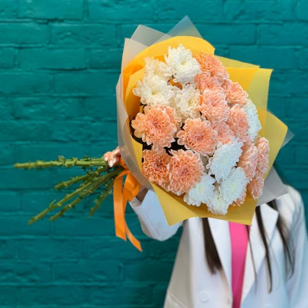 фото 7 разноцветных хризантем "Парящий"