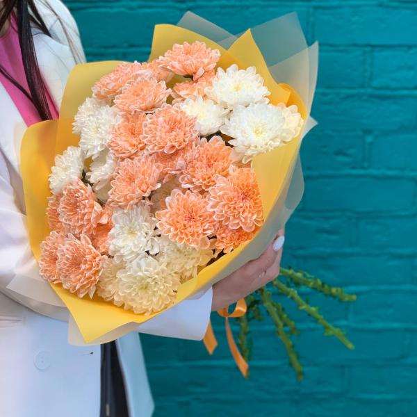 фото 7 разноцветных хризантем "Парящий"