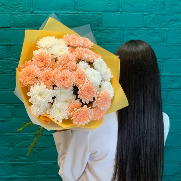 фото 7 разноцветных хризантем "Парящий"